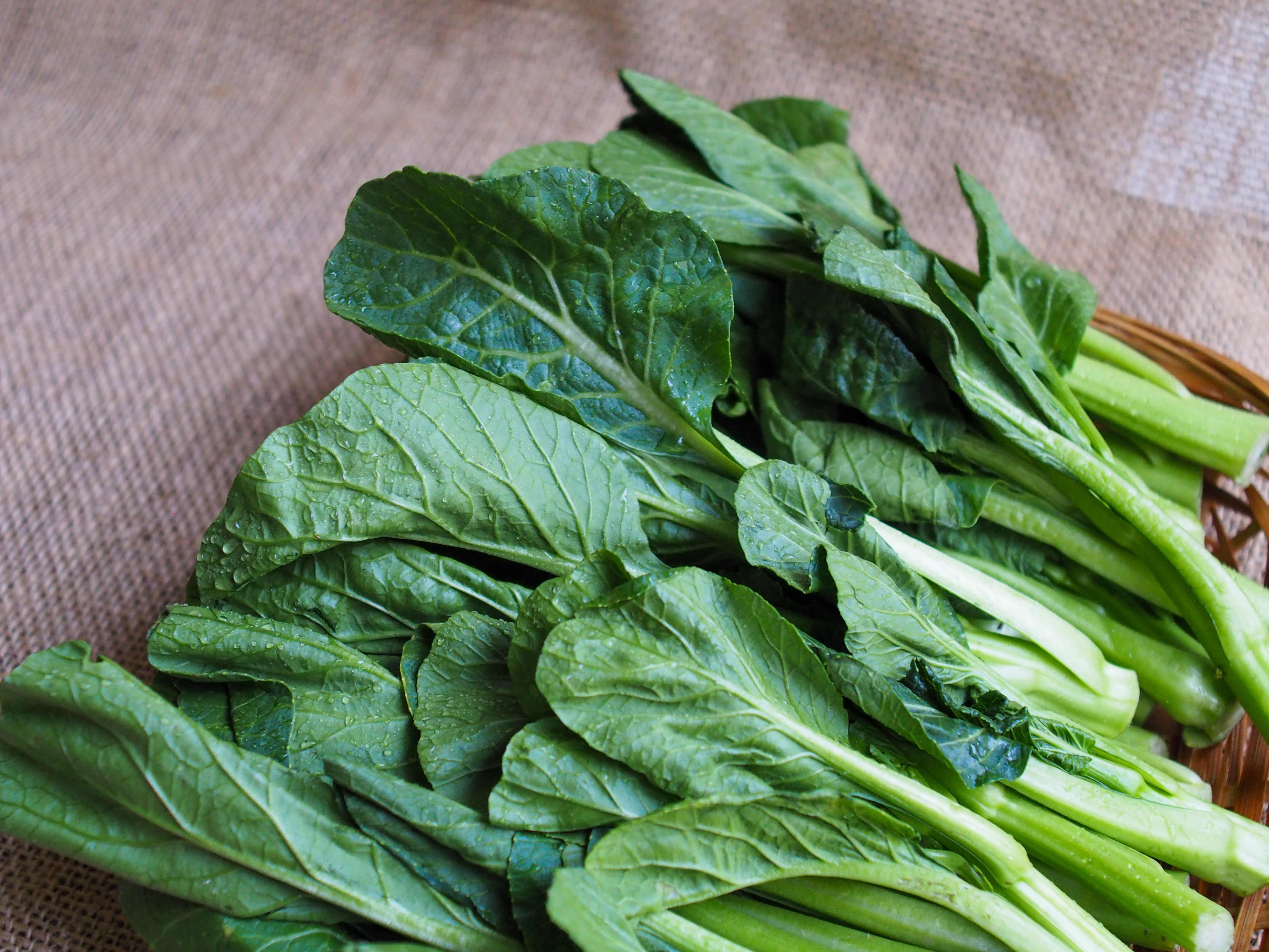 Hong Kong Choy Sum 香港菜心