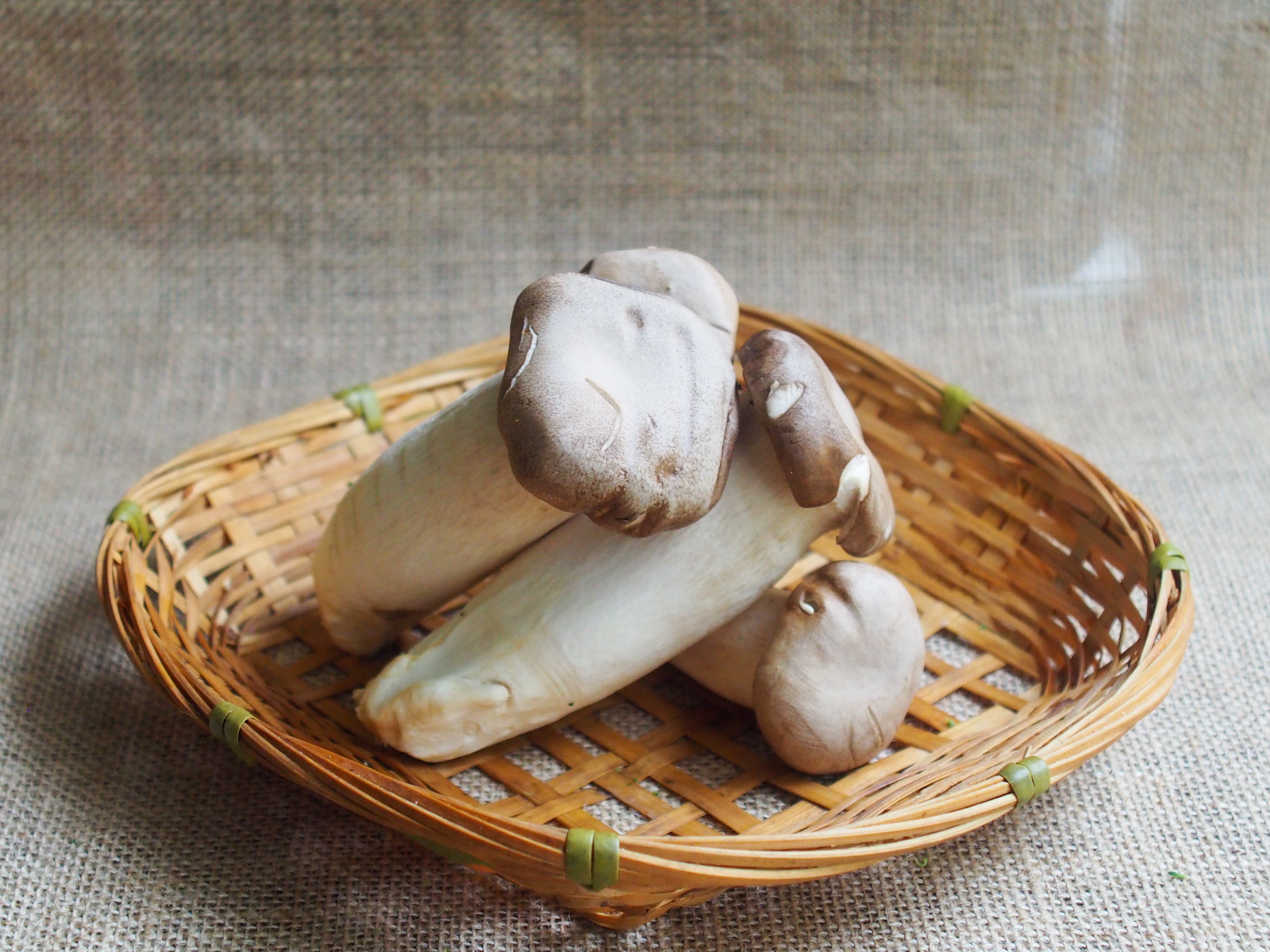 Chinese King Oyster Mushrooms 杏鲍菇