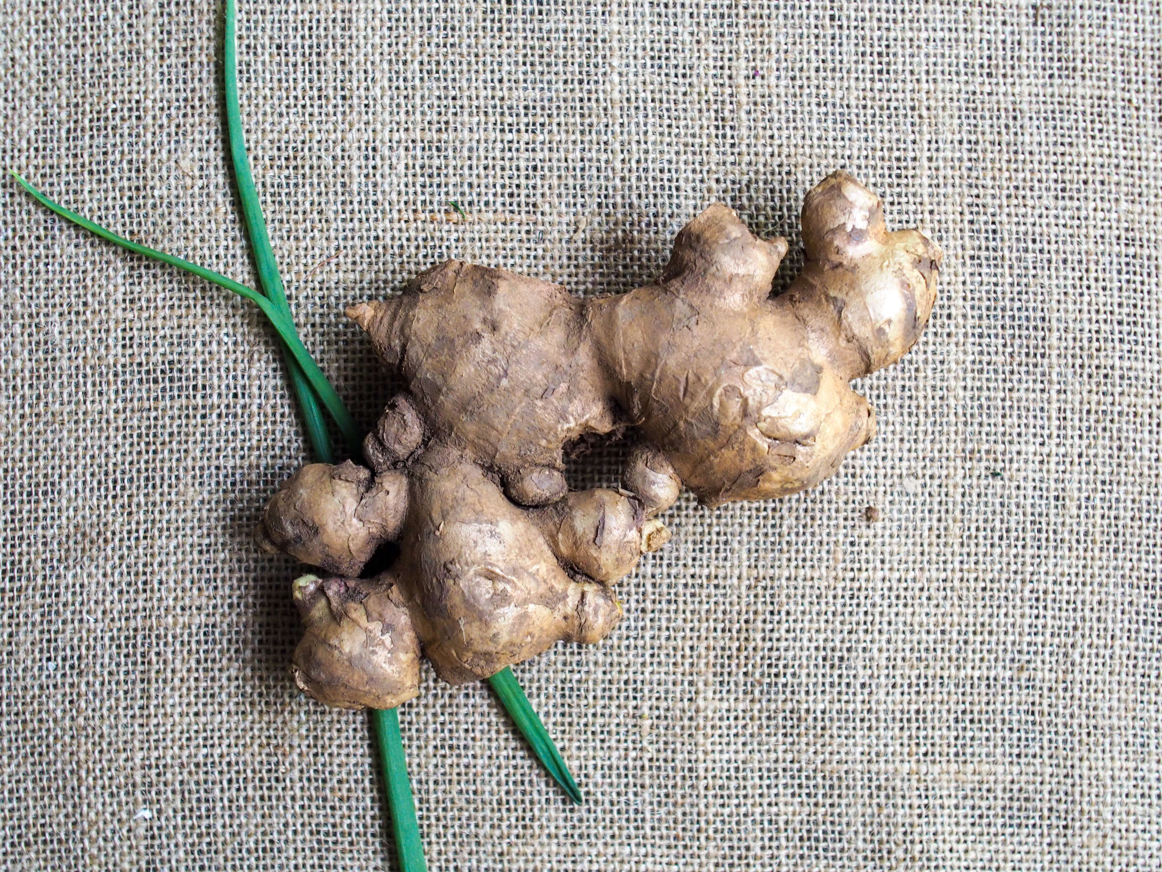 Chinese Old Ginger 老姜